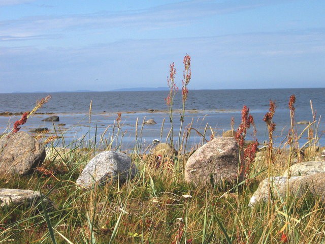Море
