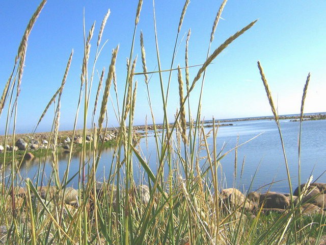 Опять дамба