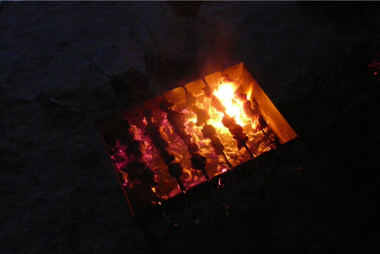 P1030024.JPG