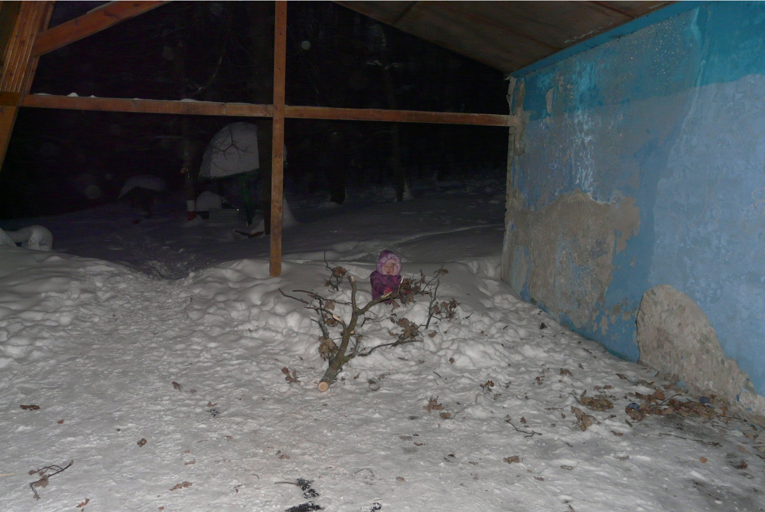 P1030027.JPG