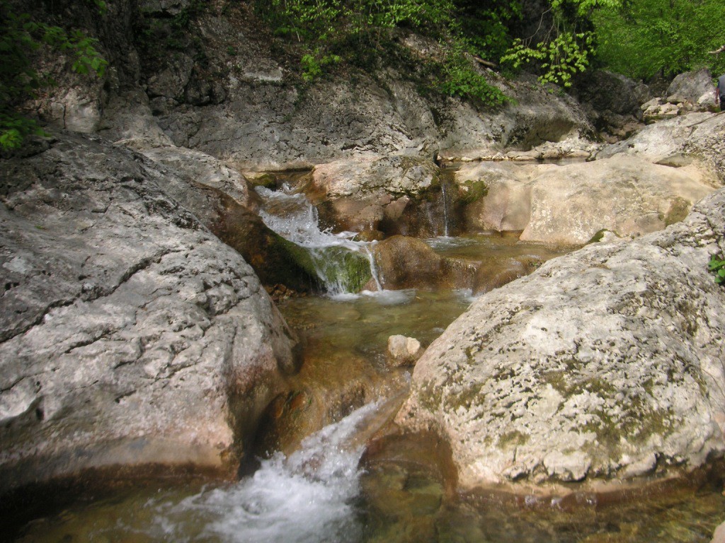 PICT5808.jpg