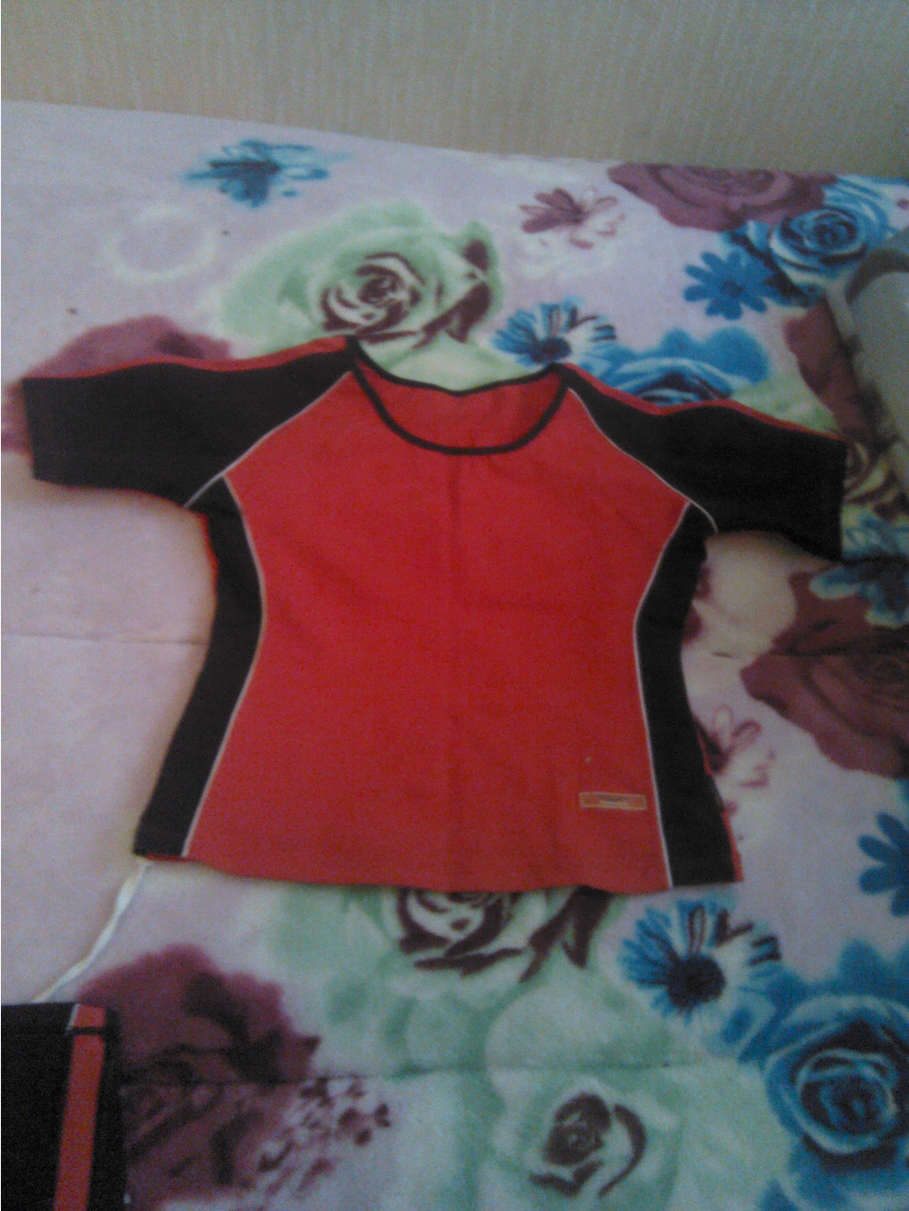 img20130105120655.jpg
