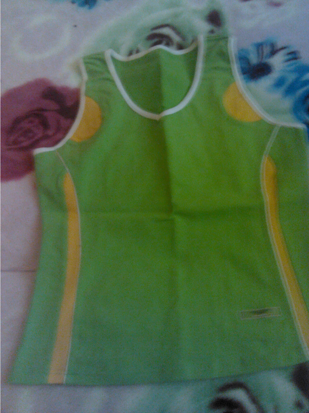 img20130105120615.jpg