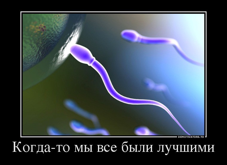 60179753_kogda-to-myi-vse-byili-luchshimi.jpg