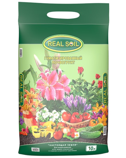  REAL SOIL    10 _55,03 .