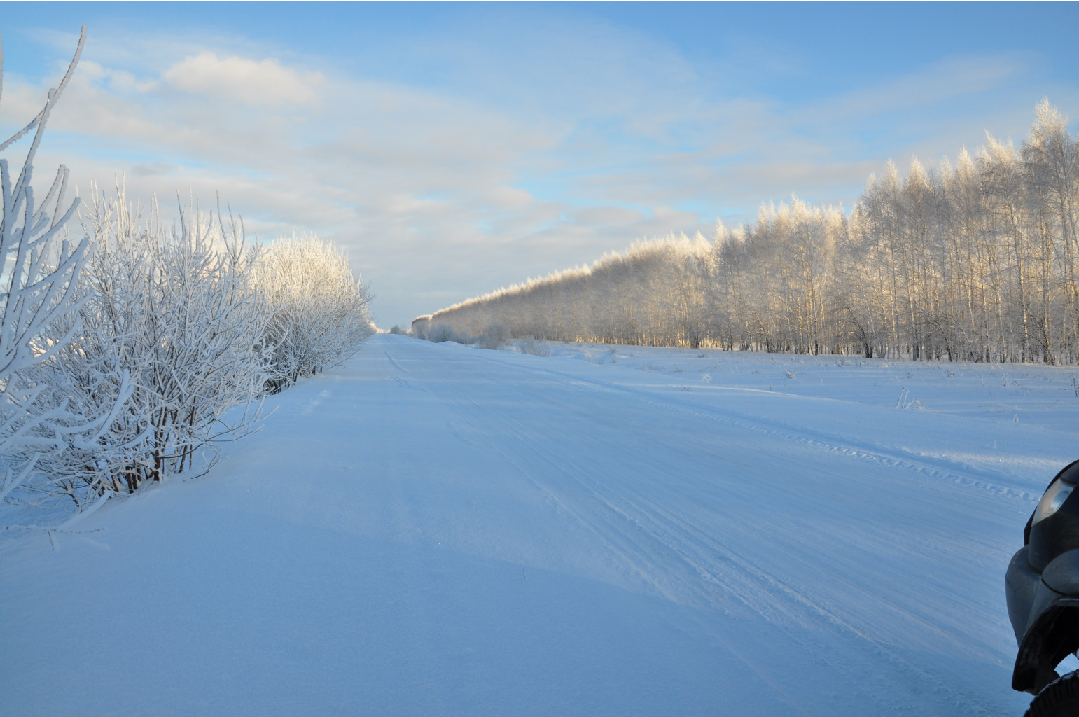 DSC_0441.JPG