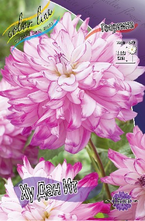 54,3.    (     1 .).jpg