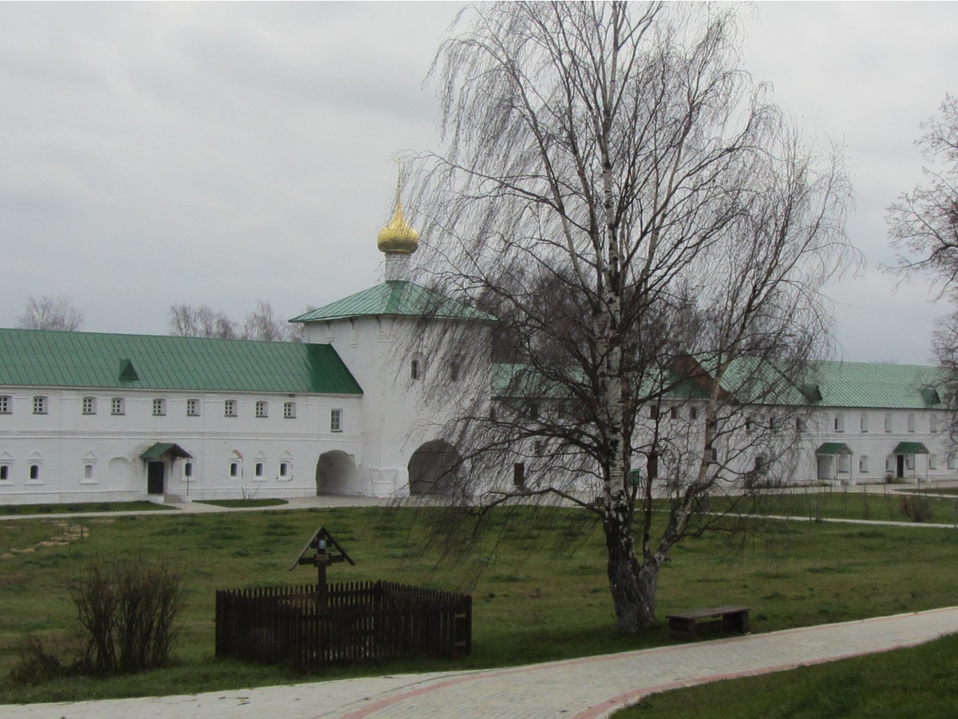IMG_3126.JPG