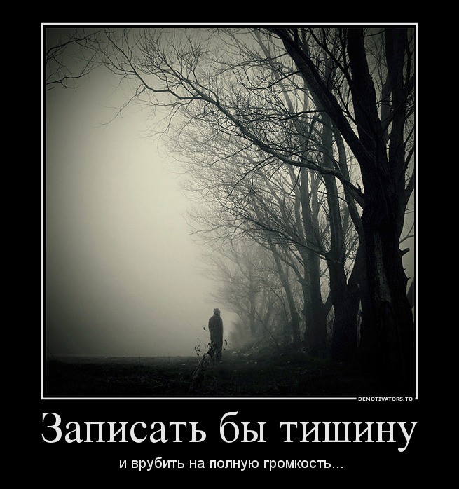 44103698_zapisat-byi-tishinu.jpg