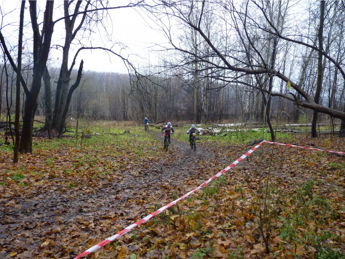 P1120913.JPG