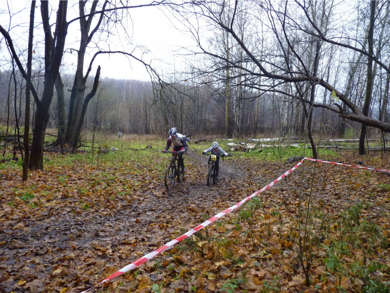 P1120914.JPG