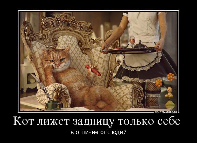 28.10.2013 9:23:01