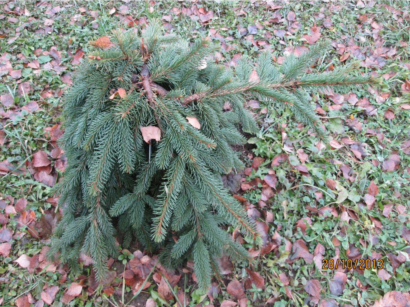 IMG_1853.JPG