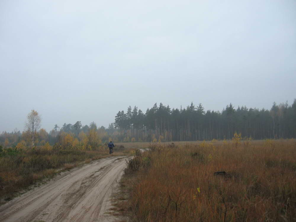 дорога