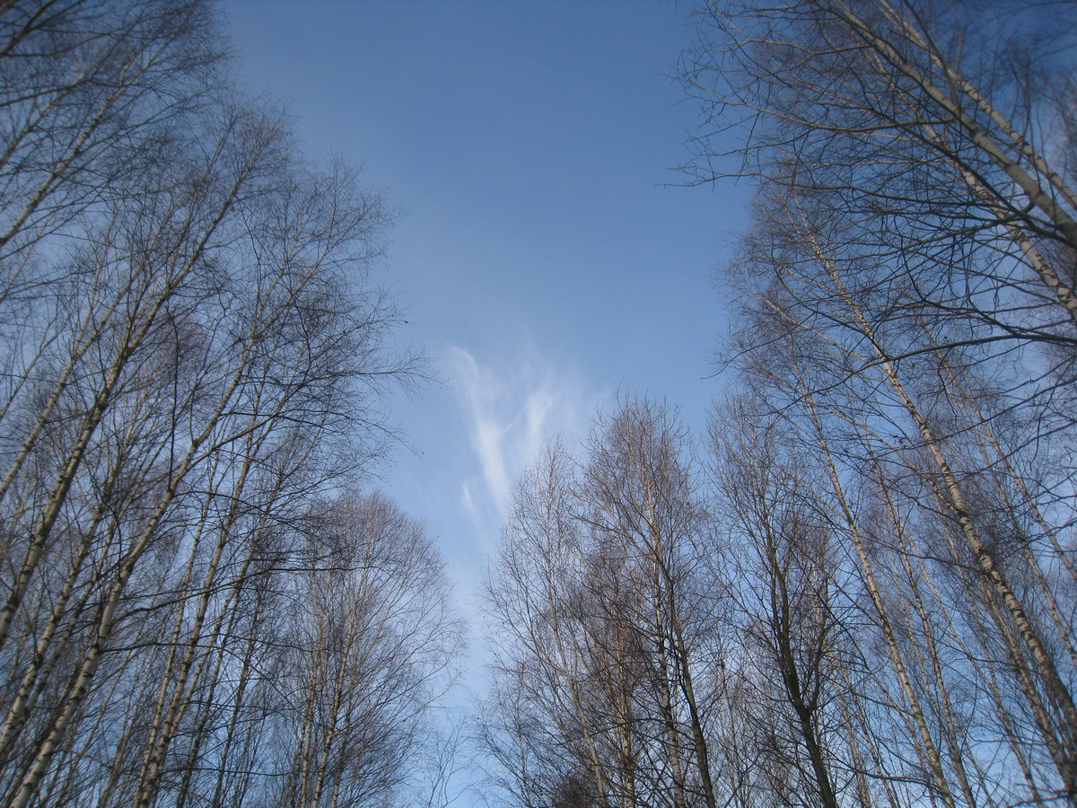 IMG_3972.JPG
