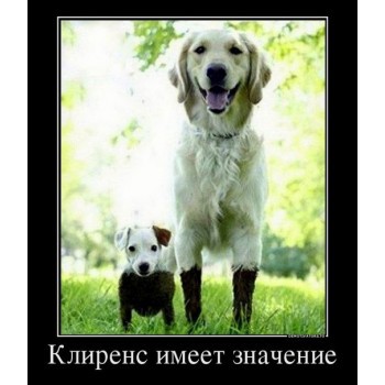78499287-ykofqq8exi8.jpg