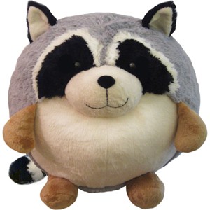 bandit_raccoon.jpg