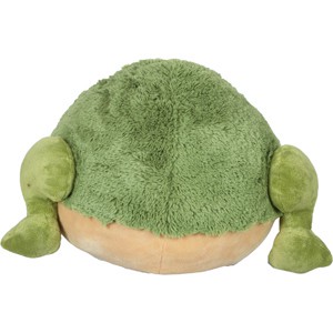 frog_15_back.jpg