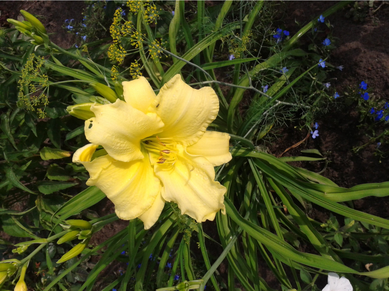 2013-07-08 08-48-05.JPG