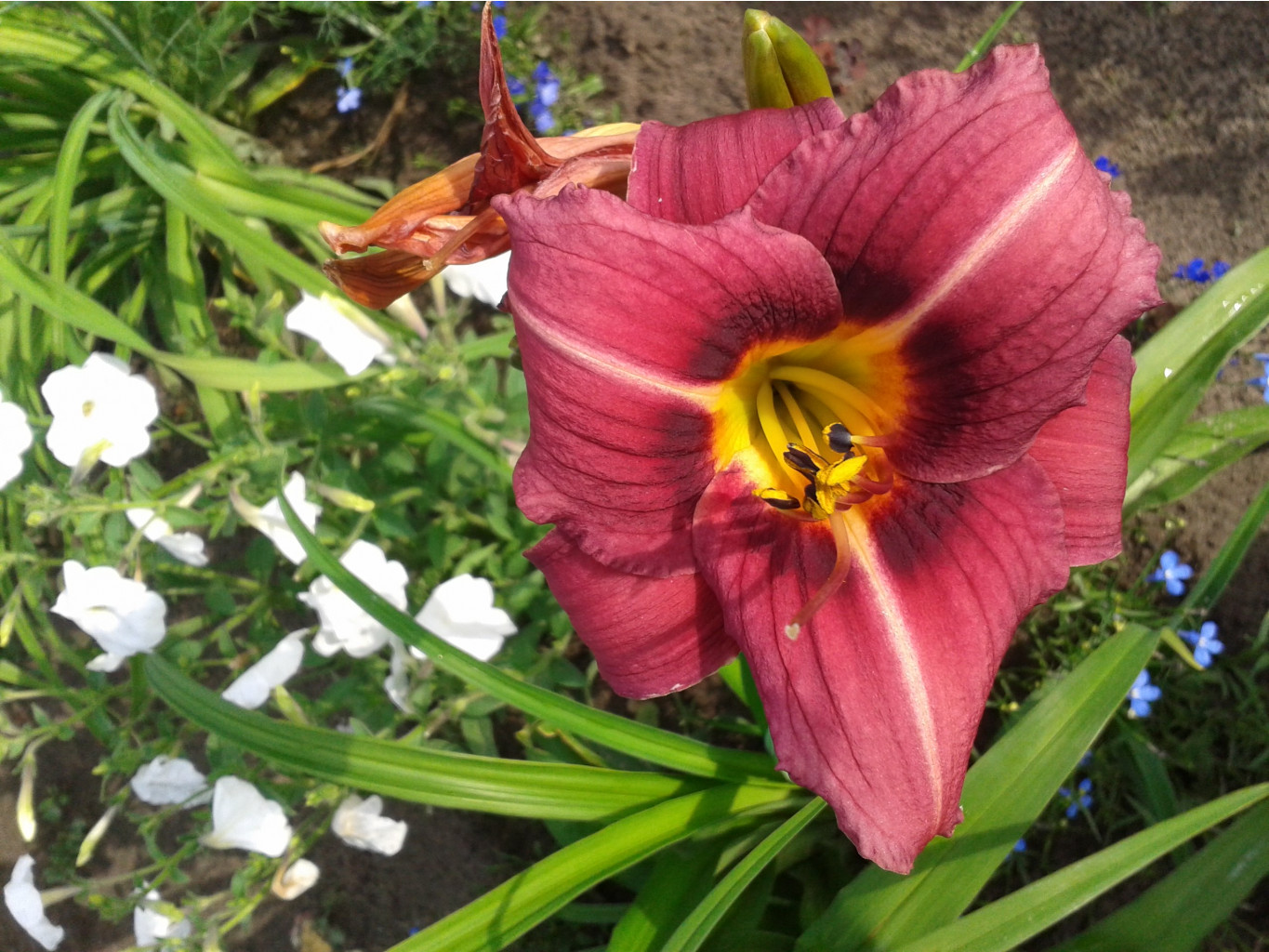 2013-07-08 08-48-13.JPG