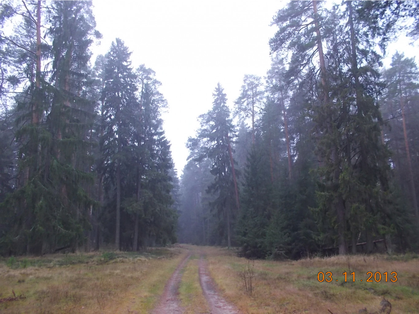 DSCN3908.JPG
