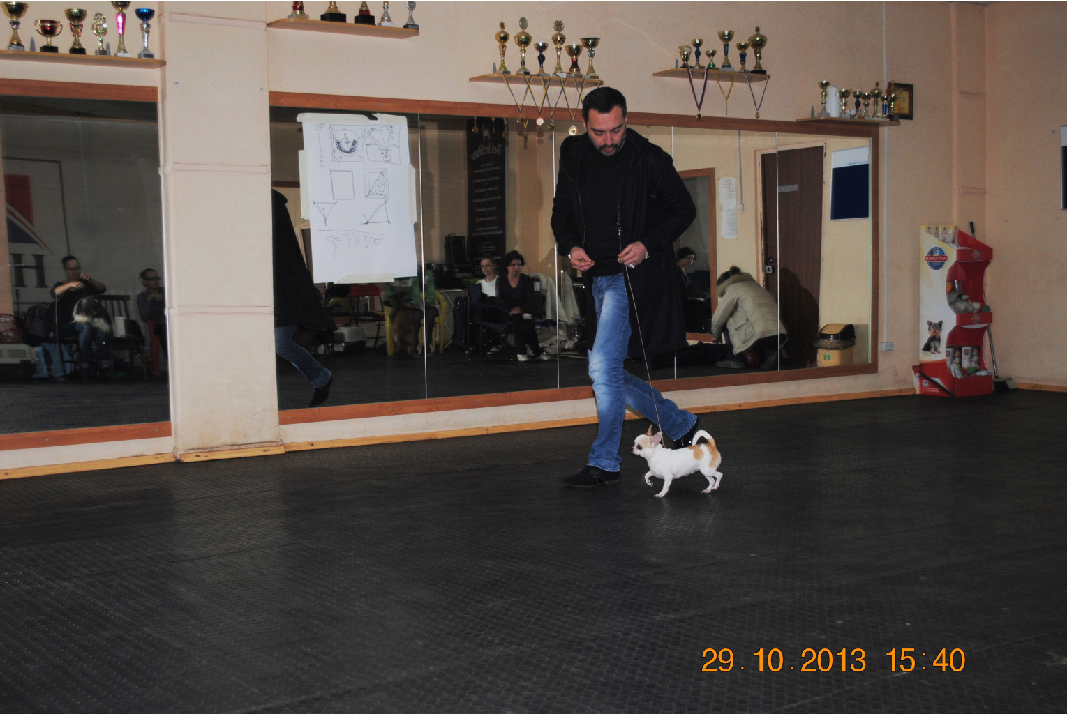DSC_0087.JPG