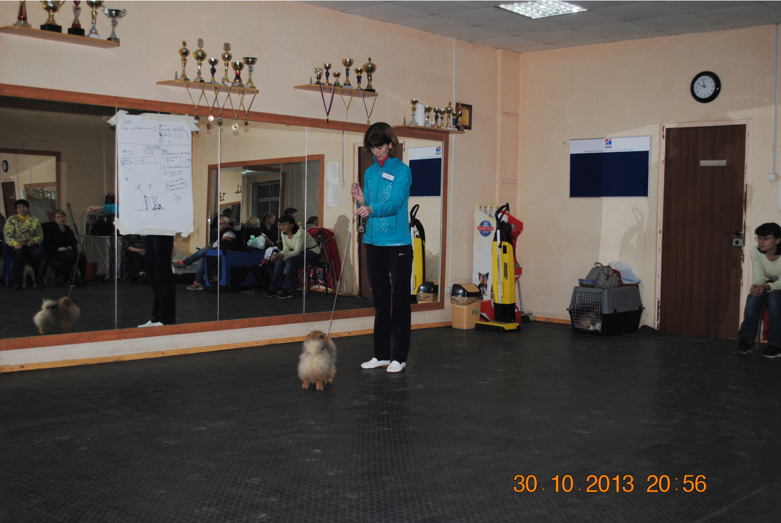 DSC_0447.JPG