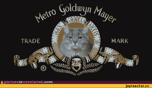 Metro Goldwin Mayer Logo -  Style