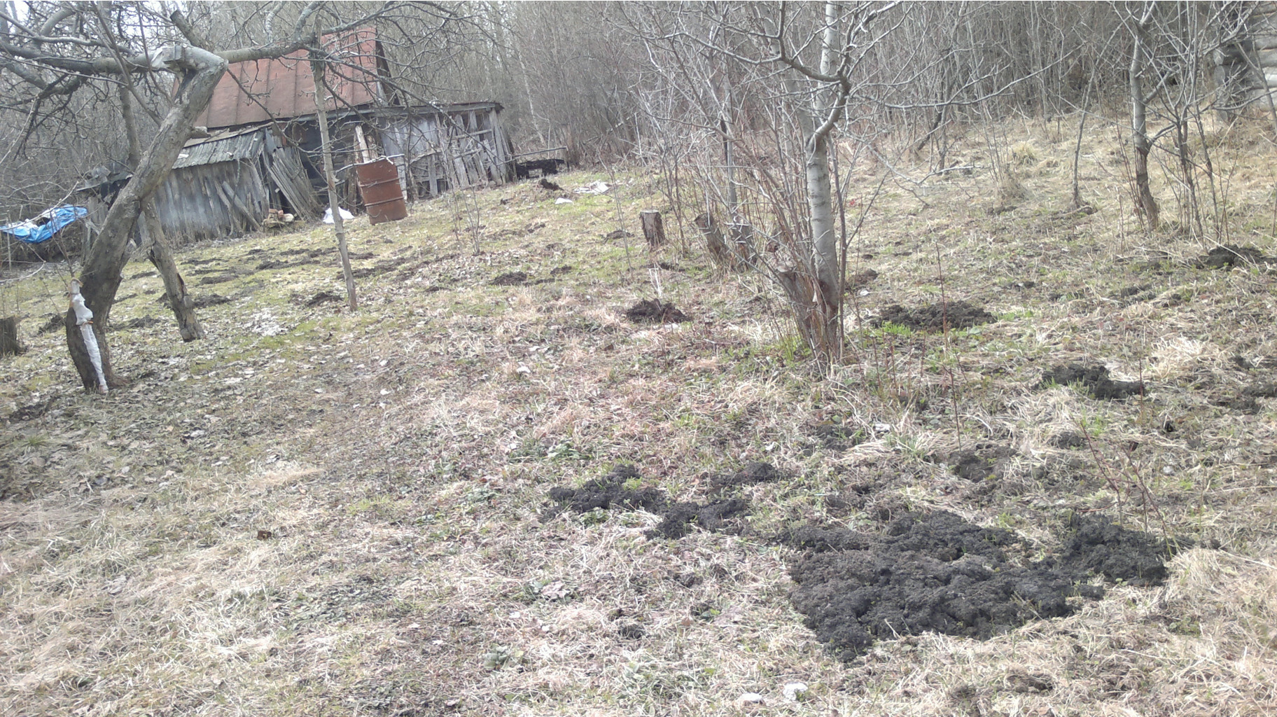 2013-04-27-574.jpg