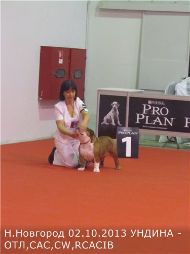 3e8387736260.jpg