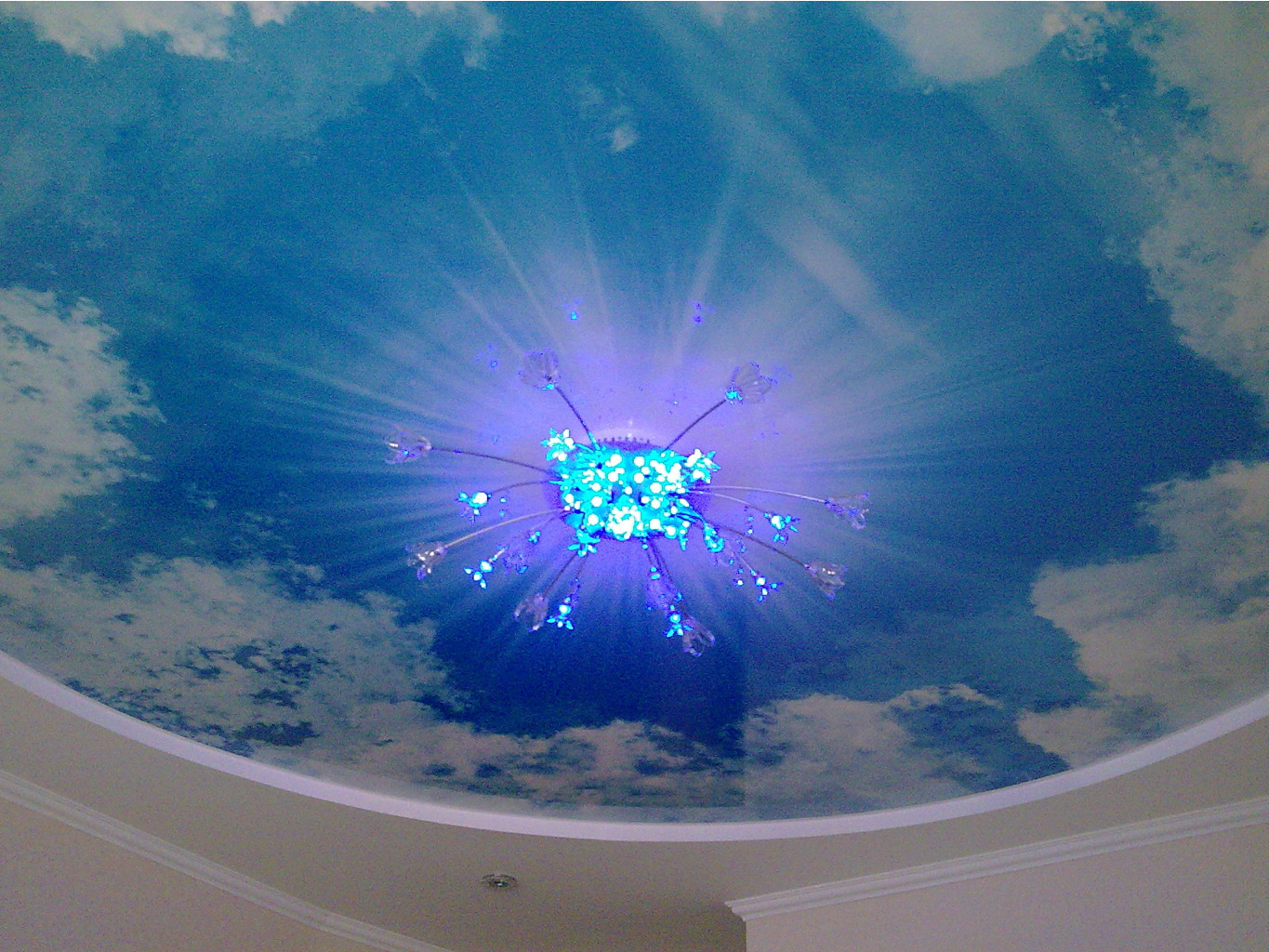 65817986-foto1025-1.jpg