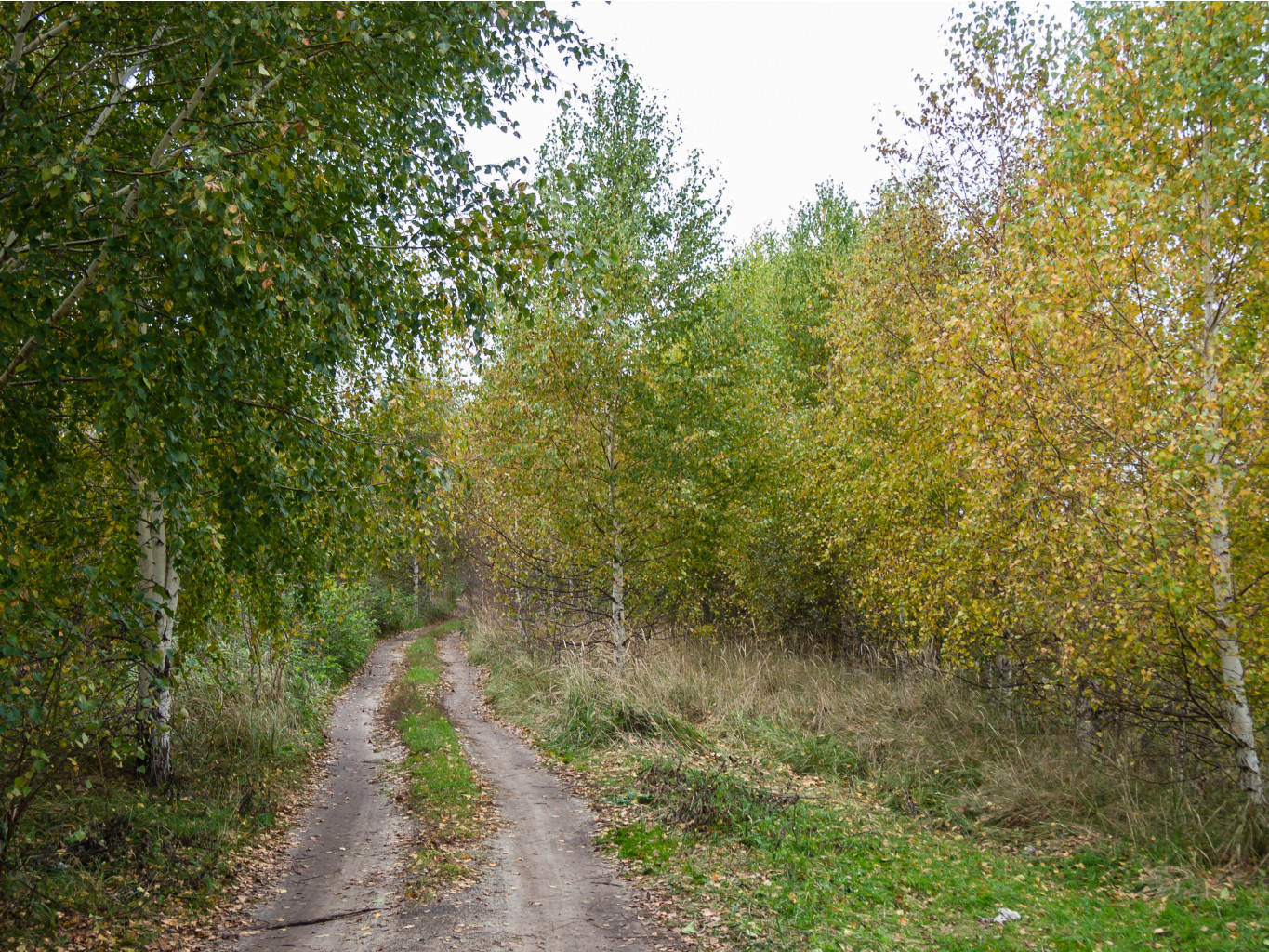 PA050286-2.jpg