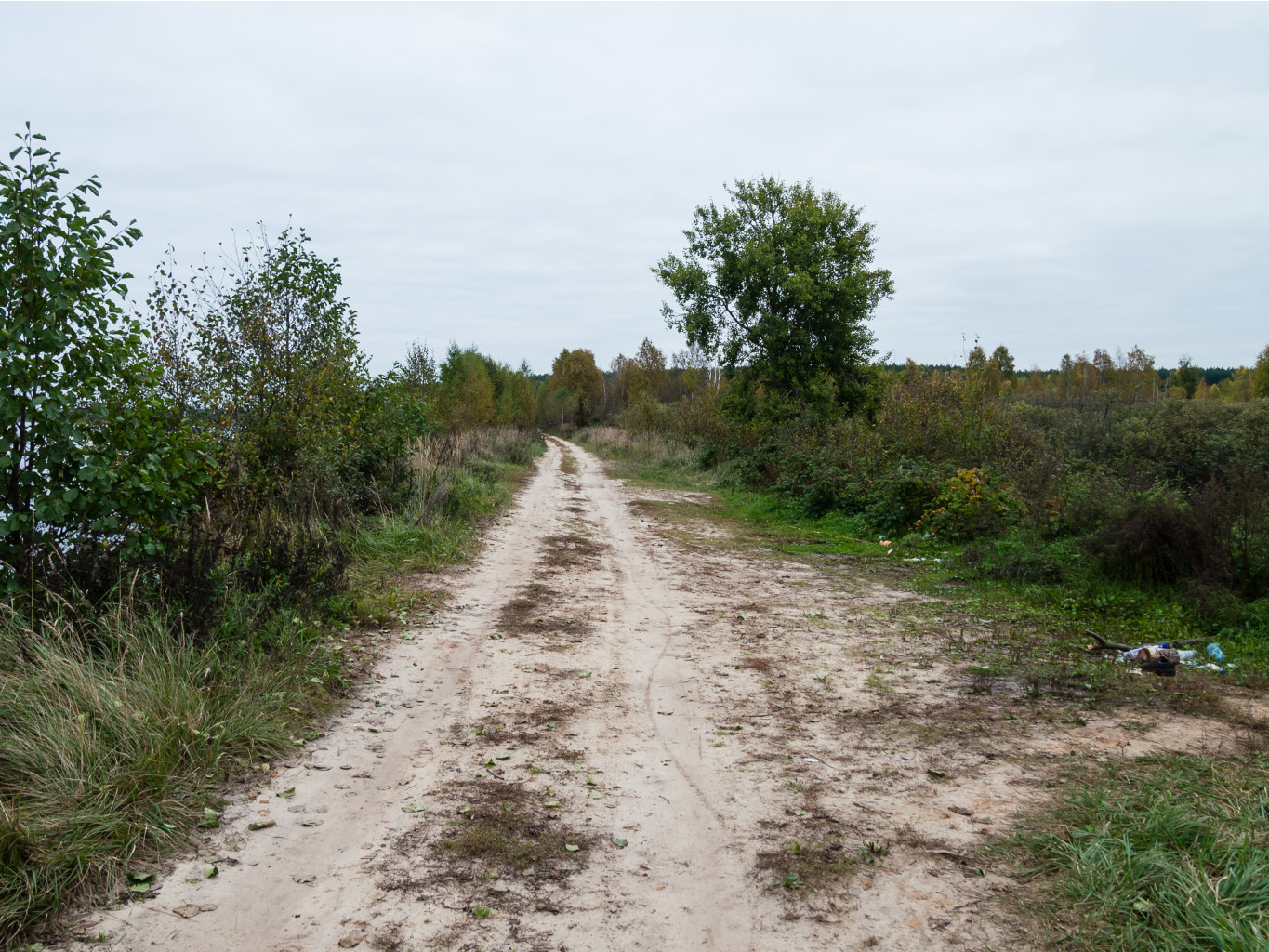 PA050298-2.jpg