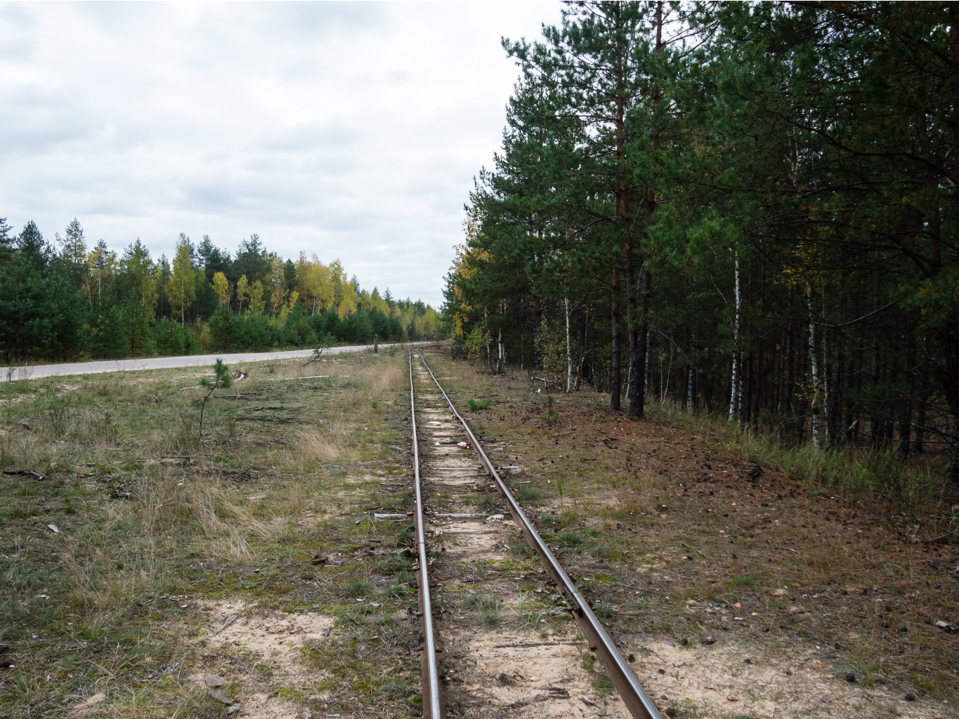 PA050308-2.jpg