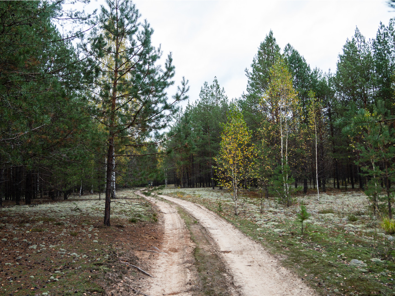 PA050311-2.jpg
