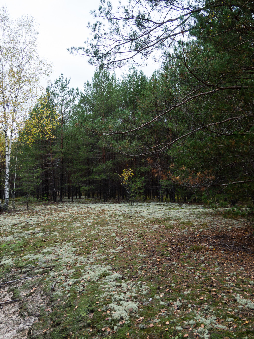 PA050312-2.jpg