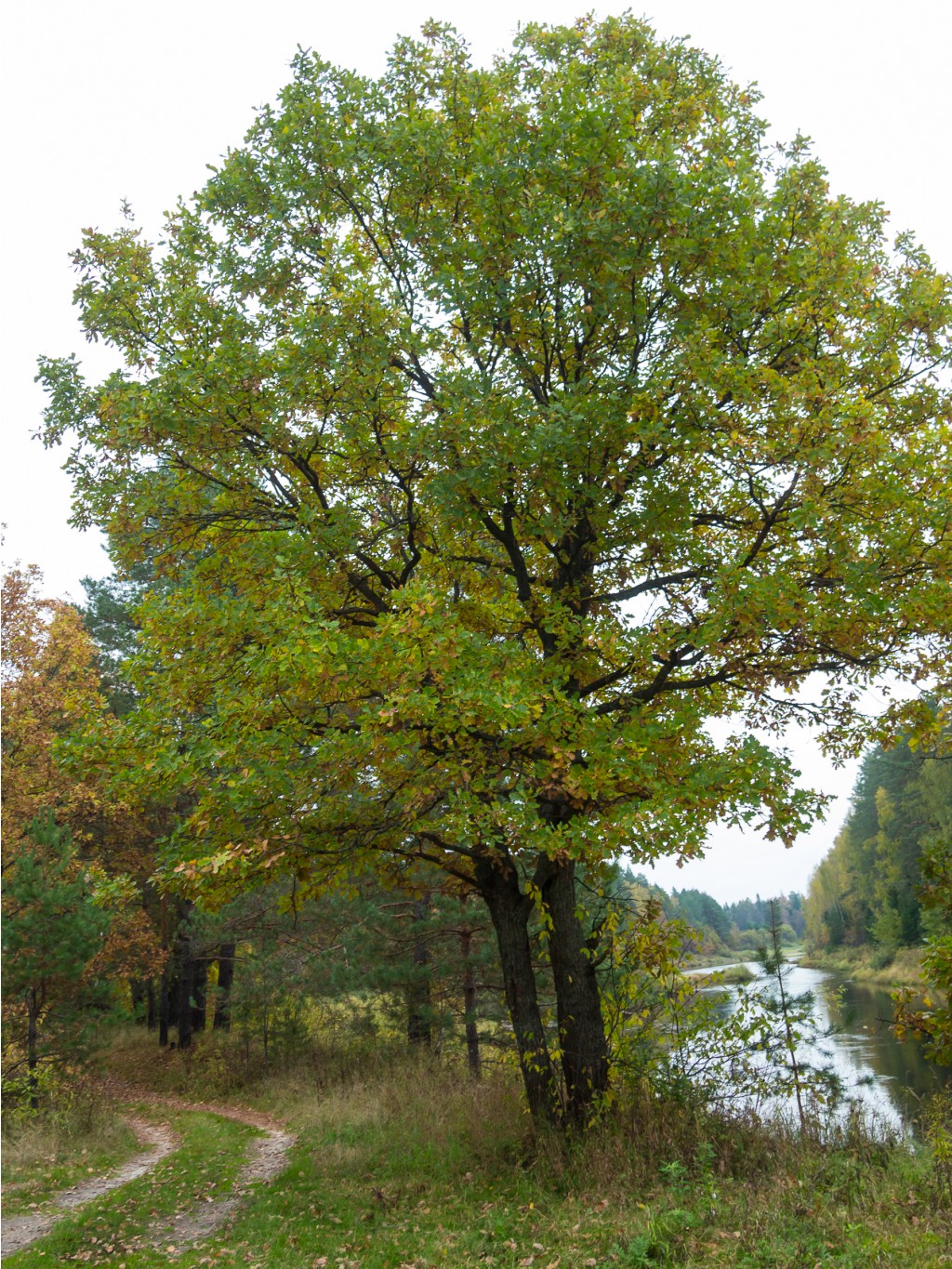 PA060328-2.jpg