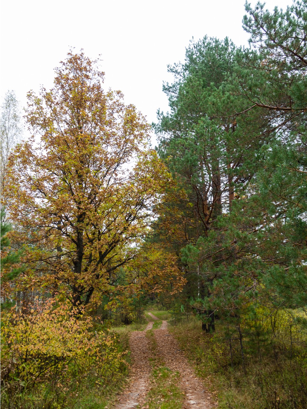PA060330-2.jpg