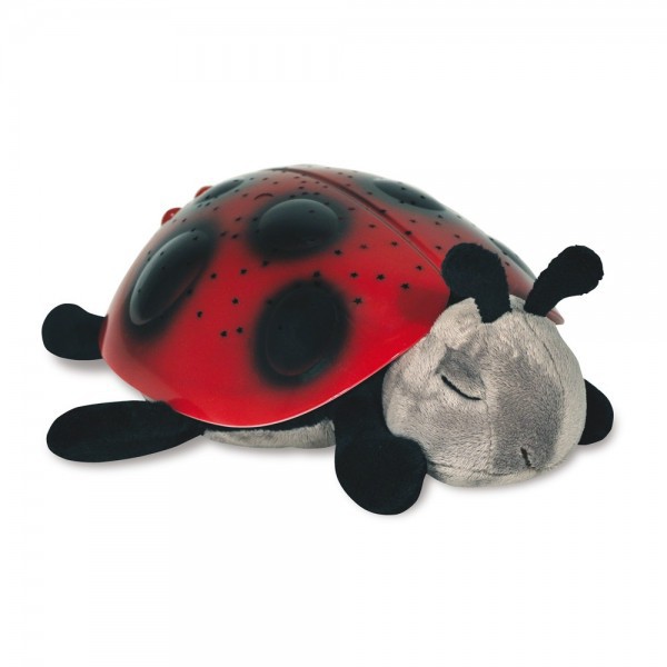     Twilight Ladybug, , 1230 .jpg