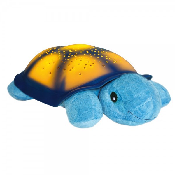    Twilight Turtle, , 1230 .jpg