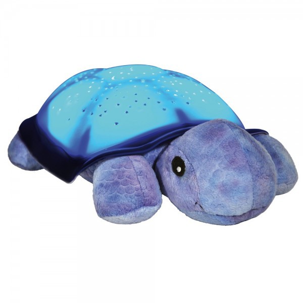    Twilight Turtle, ...jpg