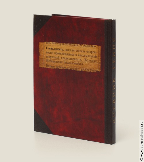 записная книжка Дневник гения-3.jpg