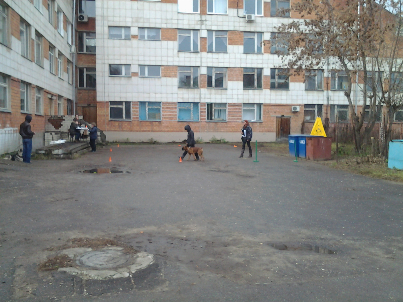 20131110_140352.jpg