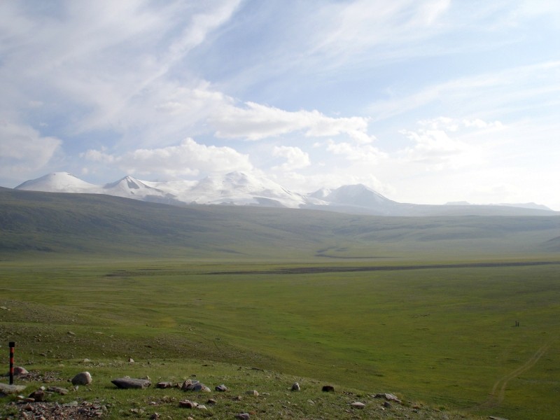 DSC07538.JPG