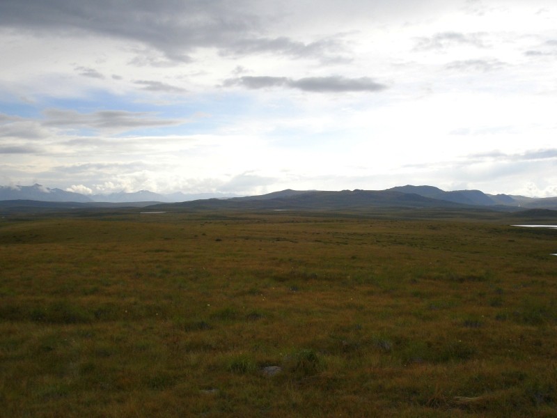 DSC07617.JPG