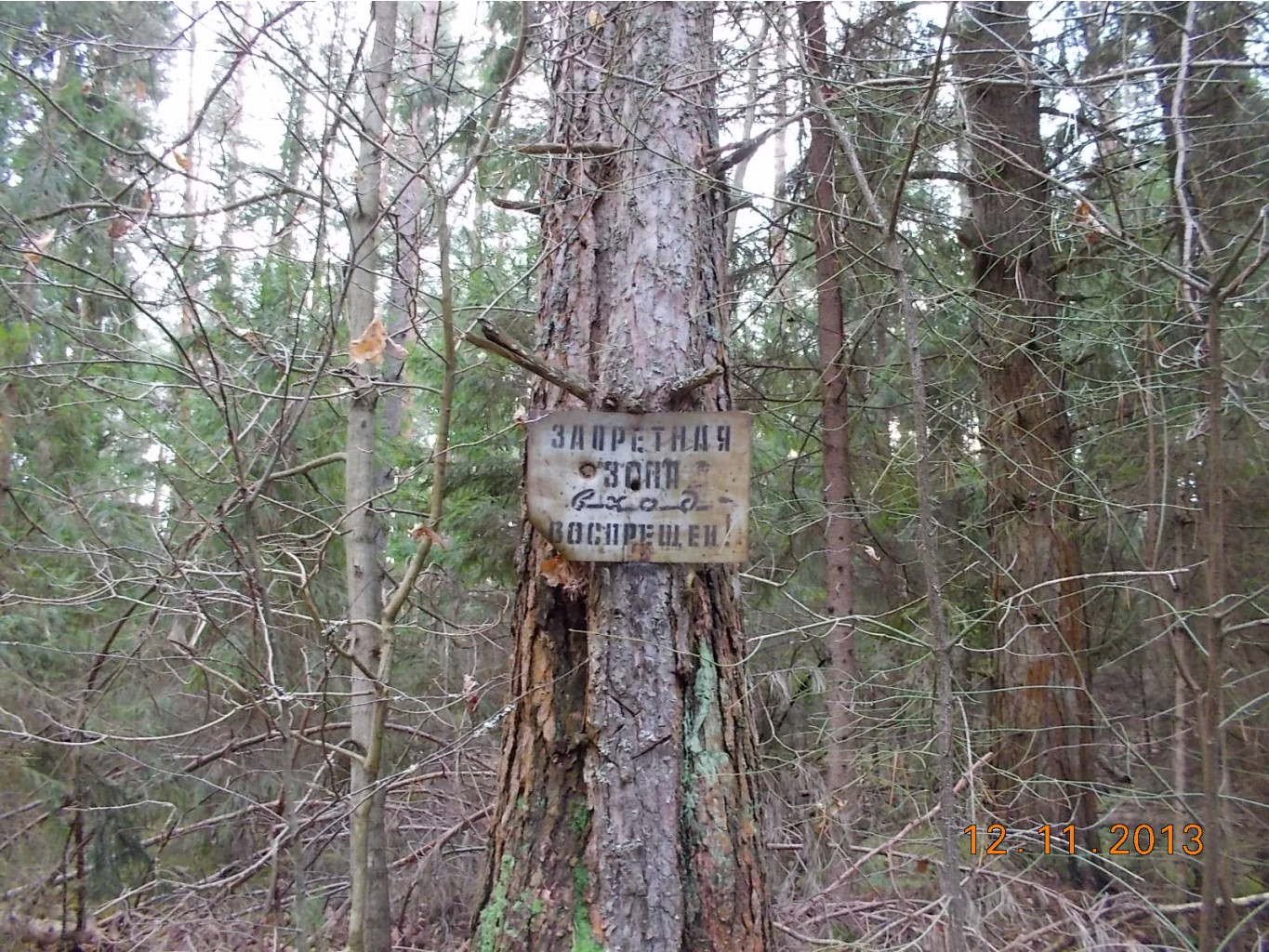 DSCN3989.JPG