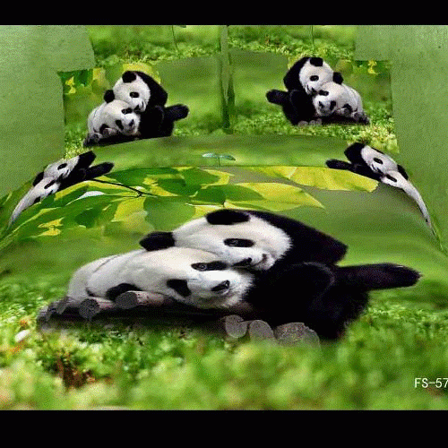 63355 FX Semeika Pandi DOUBLE.gif
