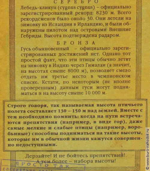 визитницы Птицы высокого полета (3 секции)-2.jpg