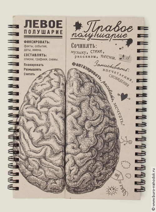 блокнот Мозг правое полушарие - 247,5р.