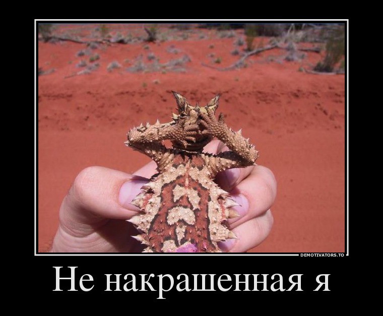 92984794_ne-nakrashennaya-ya.jpg